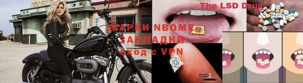 PSILOCYBIN Вяземский