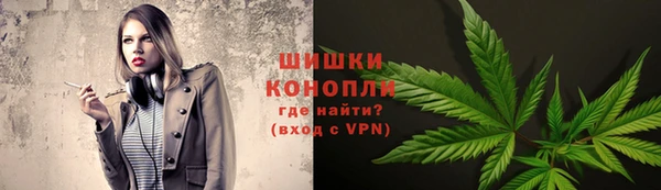 ПСИЛОЦИБИНОВЫЕ ГРИБЫ Вязники