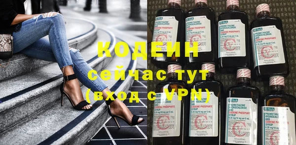 PSILOCYBIN Вяземский