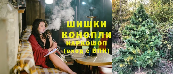 PSILOCYBIN Вяземский