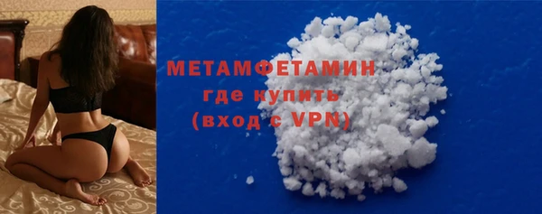 PSILOCYBIN Вяземский