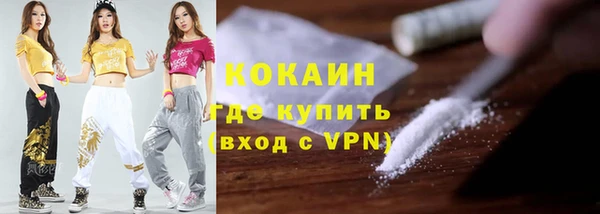 PSILOCYBIN Вяземский