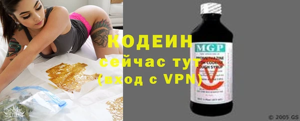 ПСИЛОЦИБИНОВЫЕ ГРИБЫ Вязники