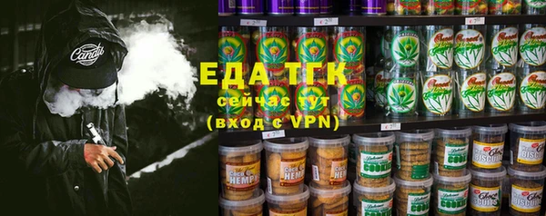 PSILOCYBIN Вяземский