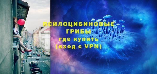 PSILOCYBIN Вяземский