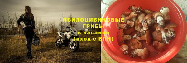 PSILOCYBIN Вяземский