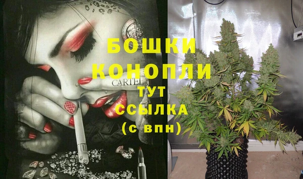 ПСИЛОЦИБИНОВЫЕ ГРИБЫ Вязники