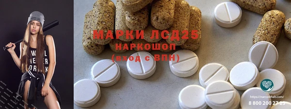 ПСИЛОЦИБИНОВЫЕ ГРИБЫ Вязники